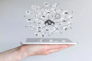 数字营销革命引领中国制造迈向中国品牌租赁服务