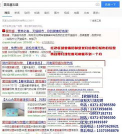 软银科技 河南B2B网站推广软件的领航者